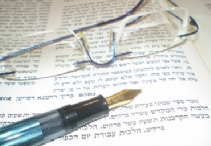 Yossi Levi, Attorney at Law